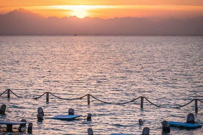 Orange Bay Full Day Snorkeling Sea Trip With Water Sport-Hurghada - A full Red Sea day for $16