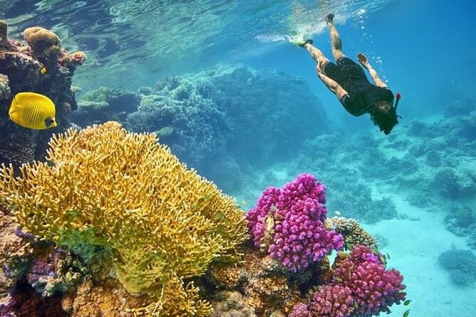 Orange Bay Island 2 Snorkeling Stops Water Sports Romantic Escape - A Red Sea day built around variety