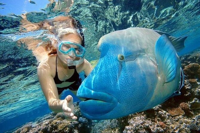 Orange Bay Island 2 Snorkeling Stops Water Sports Romantic Escape - Two hours on Orange Bay Island