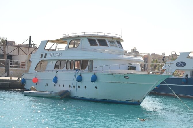 Orange Bay Island - Snorkeling at two coral sites