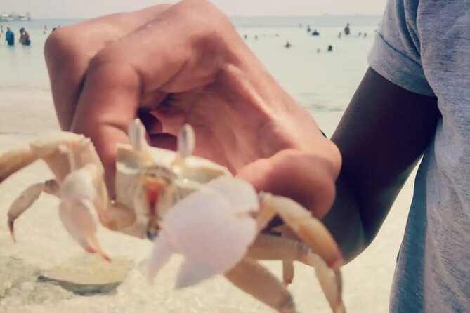 Orange Bay Island Deluxe Snorkeling, Water Sports from Hurghada - Buffet lunch after the island stop