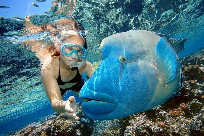 Orange Bay Island Snorkeling Trip With Water Sports - Hurghada - The crew, safety, and the less pleasant extras