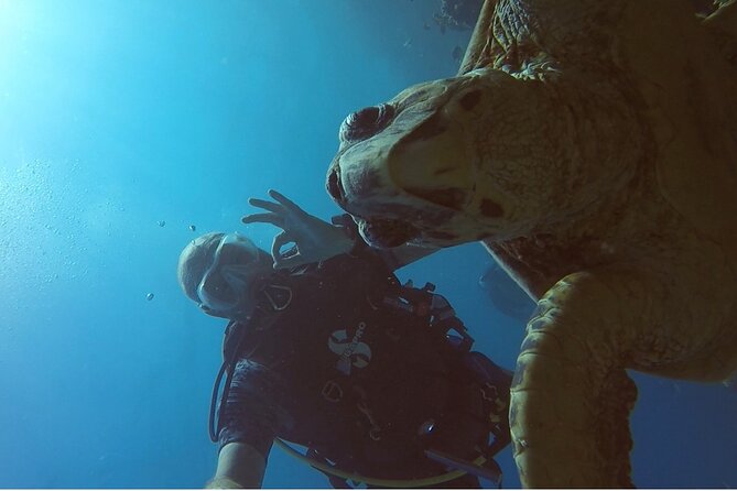 PADI Advanced Diving Course in Hurghada - Learn Scuba Diving - Instructor style and confidence in the water