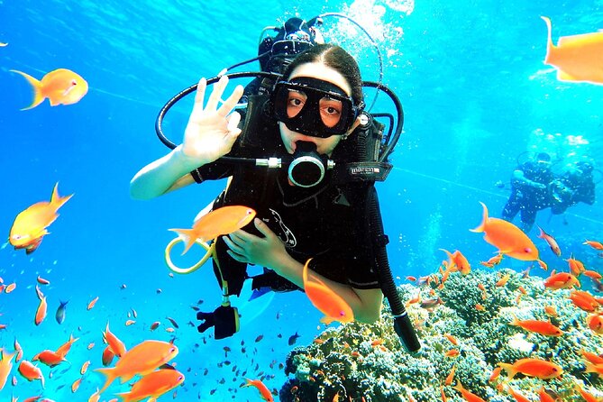 PADI Open Water Diver Course - Why Sharm el Sheikh is a strong place to learn scuba