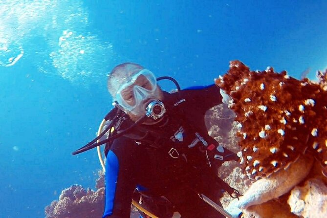 PADI Open Water Diver Course in Hurghada - Learn Scuba Diving - What the Hurghada PADI course actually gives you