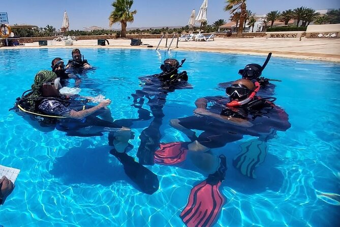 PADI Open Water Diver Course in Hurghada - Learn Scuba Diving - Day one: classroom basics and two supervised sessions