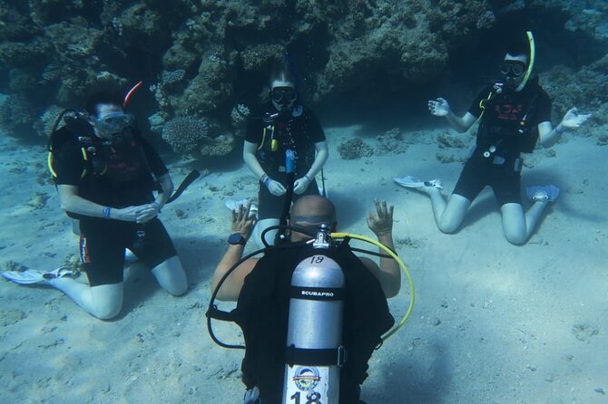 PADI Open Water Diver Course - What the three-day course actually teaches