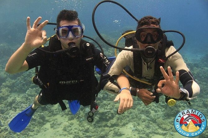 PADI Scuba Diver (PSD) - Who should choose this experience?