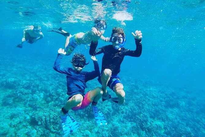 Panorama Semi Submarine Snorkeling Cruise Hurghada - What this Hurghada cruise is really like