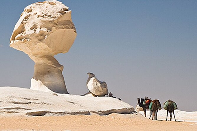 Private 2 Days Jeep Safari to White Desert and Bahariya Oasis - Reaching Bahariya Oasis and English Mountain