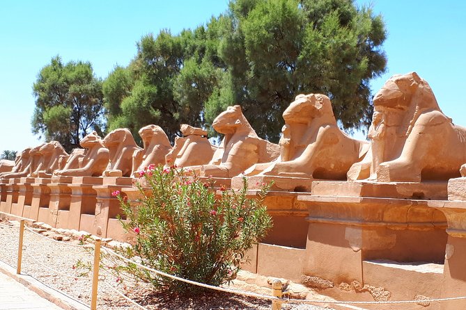 Private 2 Days The Best of Luxor - Day two: Karnak’s giant columns and sacred spaces