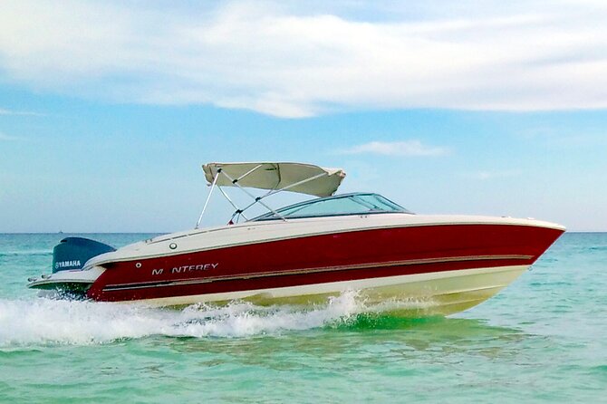 PRIVATE! | 4-hour Speed Boat Trip | Swim With Dolphins, Snorkeling & Island - Omo Gamaar and the Red Sea’s small details