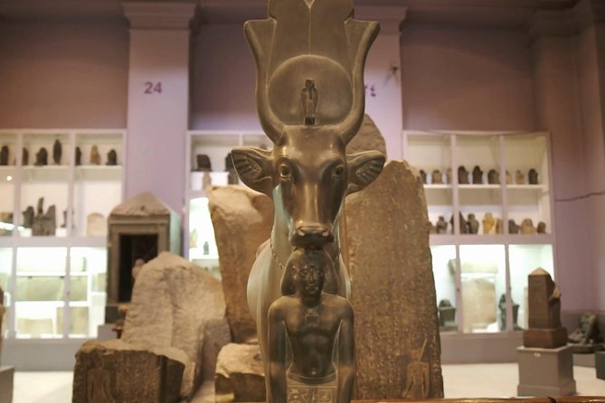 Private Cairo Egyptian Museum Tour with Lunch - Tutankhamun’s gold and royal treasures