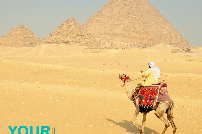 Private Cairo tour from Hurghada: No Shopping| Nile Cruise| Lunch - Two hours inside the Museum of Egyptian Antiquities