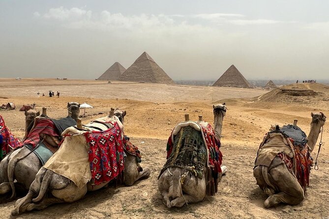 Private Day Pyramids and Grand Egyptian Museum with free camel - The guide and driver can shape the whole day