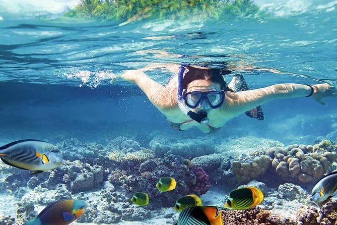 Private Dolphin House Boat Tour with Snorkeling & Lunch– Hurghada - Why a Private Boat Can Be Worth $110