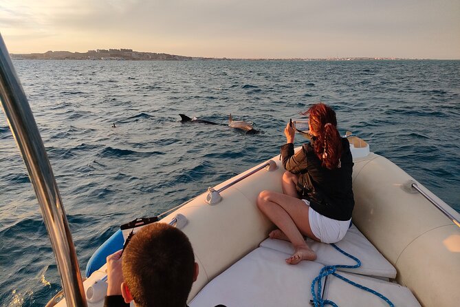 Private Dolphin Watching And Snorkeling Tour - Key Points Before You Book