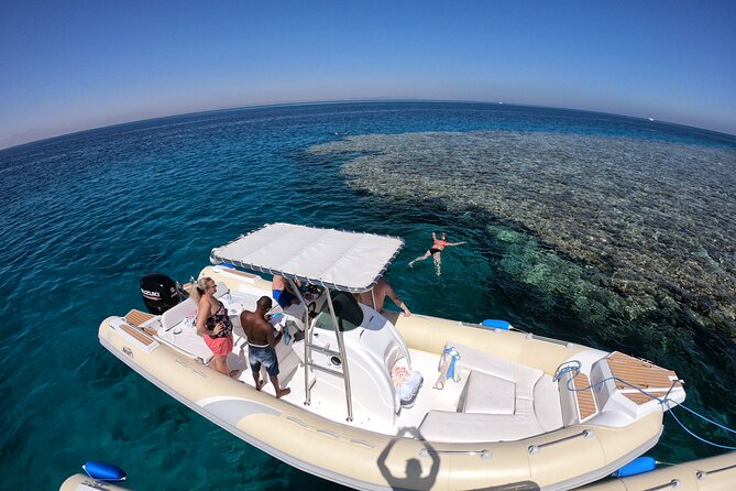 Private Dolphin Watching And Snorkeling Tour - Searching for Dolphins Without False Promises