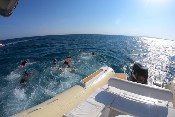 Private Dolphin Watching And Snorkeling Tour - What the Private Format Really Adds