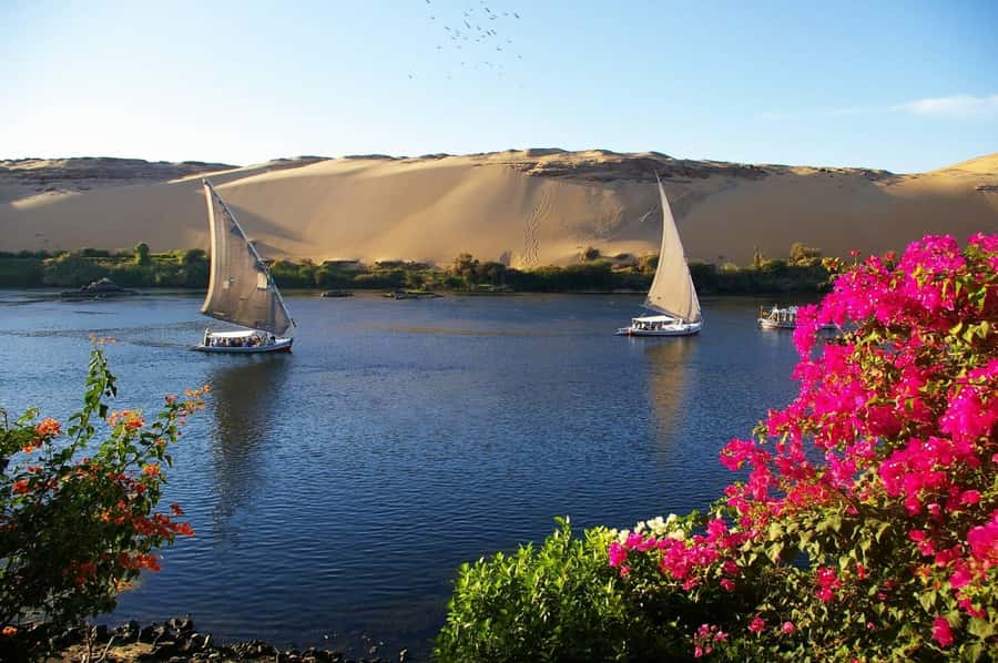 Private Felucca Ride on the Nile River - Who should book this experience?