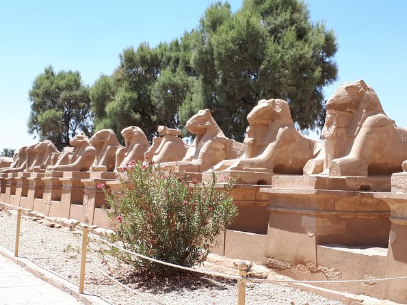 Private Full Day Tour to Luxor from Cairo with Flight - Karnak, where scale becomes the main attraction