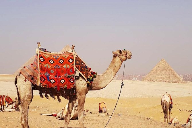 Private Half-Day Tour to Giza Pyramid ,Sphinx and Camel Ride - Key points to know before you book