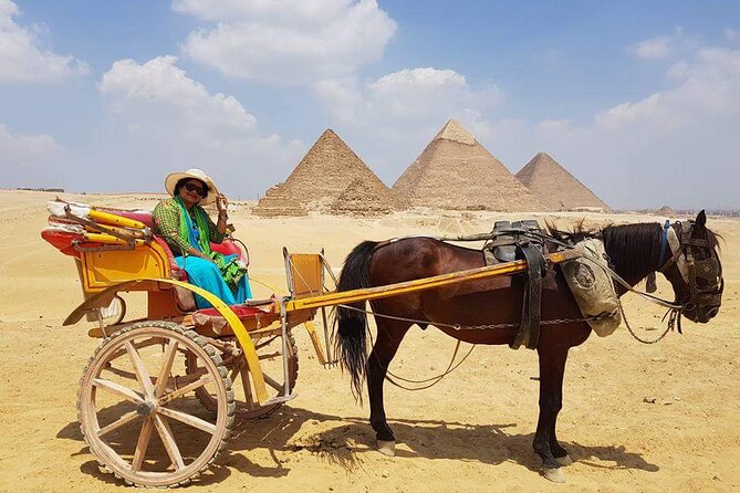 Private Half Day Tour to Giza Pyramids & Great Sphinx from Cairo - The Giza Plateau and the big views