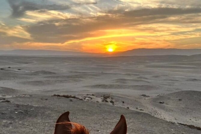 Private Horse Riding Tour in Luxor West Bank - The sunrise ride and Luxor’s balloon launch