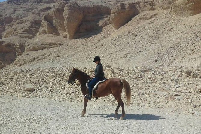Private Horse Riding Tour in Luxor West Bank - What village and field riding feels like