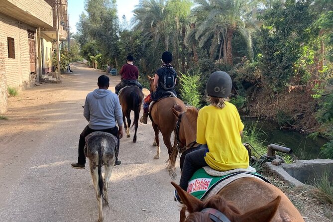 Private Horse Riding Tour in Luxor West Bank - Horses, helmets, and comfort