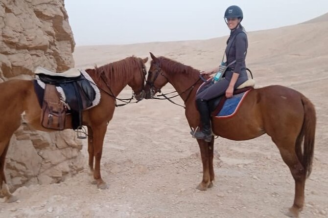 Private Horse Riding Tour in Luxor West Bank - The value of a $12 private ride