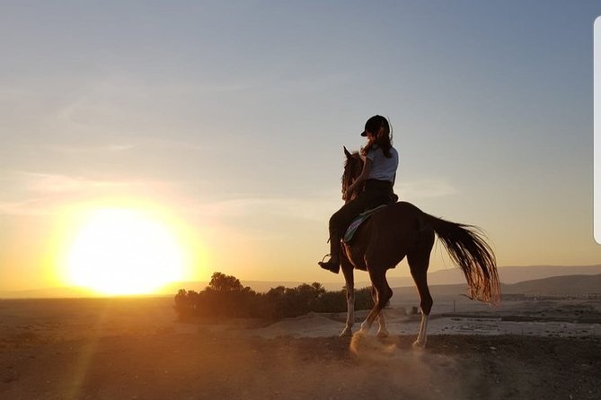 Private Horse Riding Tour in Luxor West Bank - Meeting point, timing, and planning