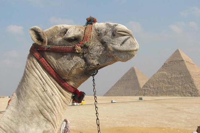 Private Journey :Grand Egyptian Museum & Giza Pyramids - At the Grand Egyptian Museum, begin with the objects