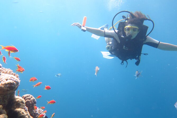 Private sea trip Hurghada - The Human Side of the Day