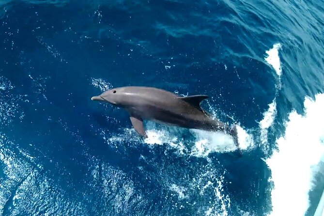 Private sea trip Hurghada - Practical Costs, Timing, and Cancellation
