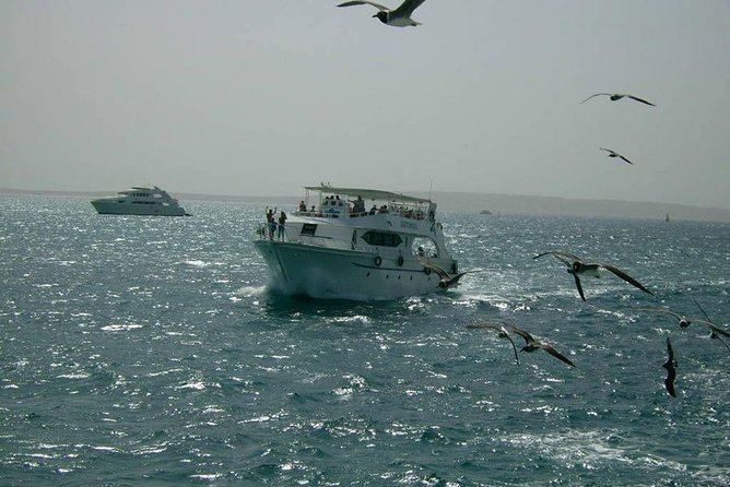 Private sea trip Hurghada - Should You Book This Red Sea Day?