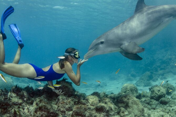 Private Speed Boat Snorkeling with Dolphins Trip - Hurghada - Searching for dolphins at Dolphin House