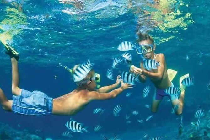 Private Speed Boat Snorkeling with Dolphins Trip - Hurghada - Snorkeling over coral reefs and colorful fish