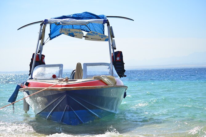 Private Speed Boat & Swim With Dolphins & Water Sports-hurghada - A private start from Hurghada at 8:00 am
