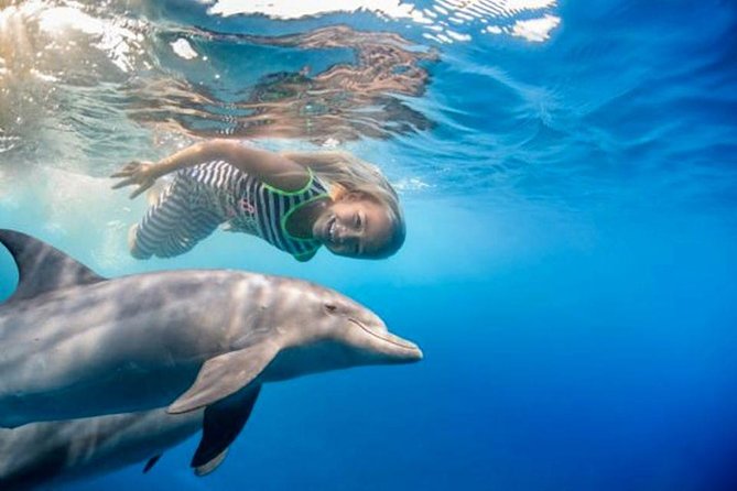 Private Speed Boat to Magawish Island's Hidden Wonders - Hurghada - Two guided snorkeling stops in the Red Sea