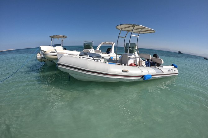 Private Speed Boat Trip In Hurghada - Dolphin spotting: worthwhile, but keep expectations sensible