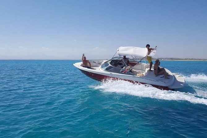 private speedboat 3 hours to dolphin house - Hurghada - Dolphin House and the search for wild dolphins