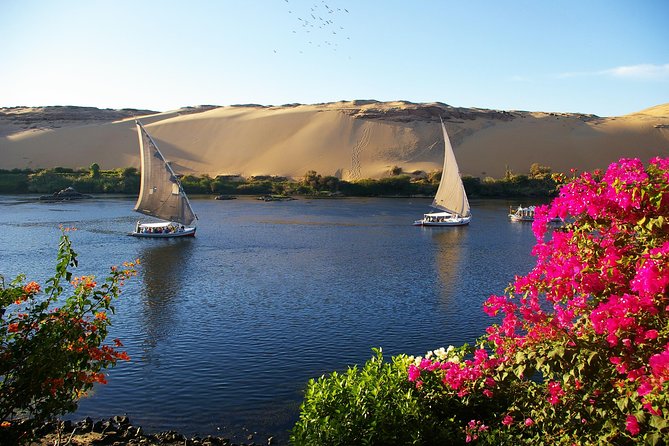 Private Tour: 10 Days Pyramids ,Nile Cruise & Hurghada by Air from Cairo - Day 4: The long road to Abu Simbel