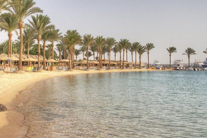 Private Tour: 10 Days Pyramids ,Nile Cruise & Hurghada by Air from Cairo - Day 8: A slower day in Hurghada