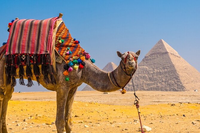 Private Tour: Cairo Day Trip from Hurghada, Including Round-Trip Flights, Giza Pyramids, Sphinx, and Egyptian Museum - Lunch Beside the Nile