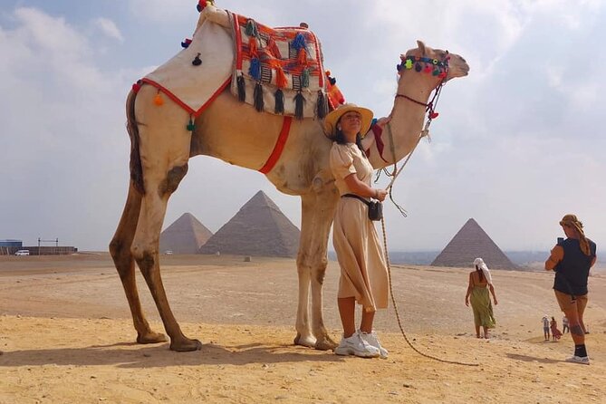 Private Tour Giza Pyramids,Sphinx,lunch,camel& inside 3rd pyramid - The Sphinx and valley area add the ancient detail