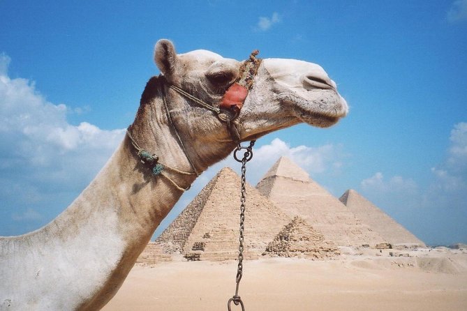 Private Tour: Giza Pyramids, Sphinx, Memphis, Sakkara - Memphis brings the day back to the old capital
