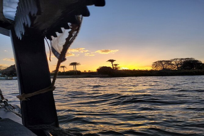 Private Tour in Aswan : Felucca and Nubian village - The Nubian village adds color and local life