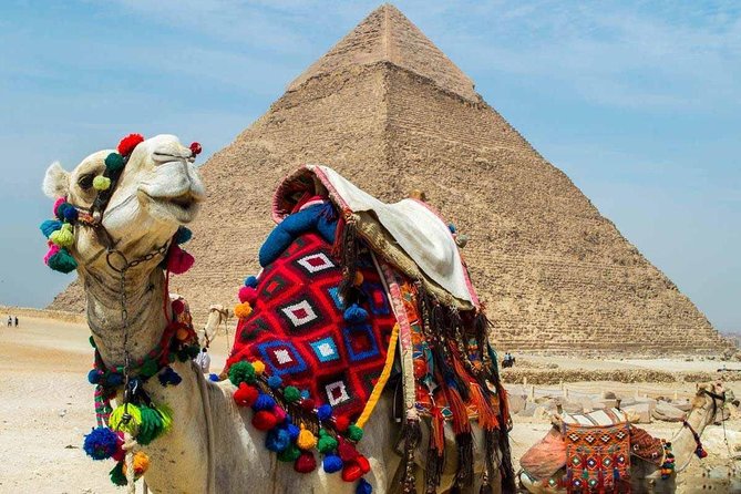 Private tour to Giza Pyramids, Sphinx and Egyptian Museum - The guide can shape the whole day