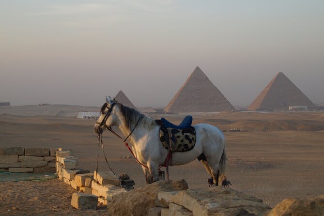 Private tour to Giza Pyramids, Sphinx and Egyptian Museum - Who should book this experience?